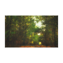 El camino del bosque envolvió la impresión de la l lona envuelta para galerias