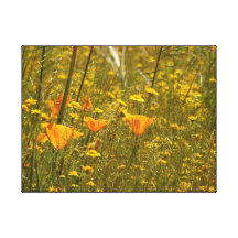 El campo de Wildflowers envolvió la lona Impresiones En Lona