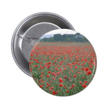 El campo rojo de la amapola, Kent, Inglaterra flor Pins