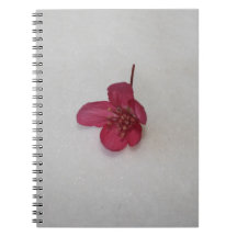 El cangrejo Apple florece cuaderno