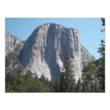 EL Capitan el Magnificant Cojinete