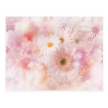 El casarse. RSVP. Margaritas y postal del Gerbera