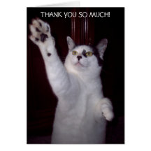 EL CAT DEL GATITO LE AGRADECE CARDAR FELICITACION 