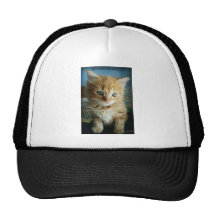 El centelleo de la esperanza pasada gorros  