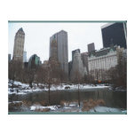 El Central Park charca enero de 2012, NYC envolvió Impresión De Lienzo