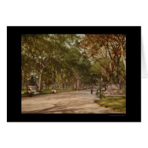 El Central Park NYC 1900 de la alameda Tarjetón