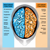 El cerebro humano del poster a la izquierda e a la