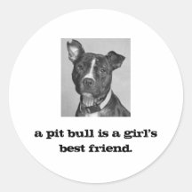El CHIRRIDO, un pitbull es el mejor amigo de un ch Pegatina Redonda