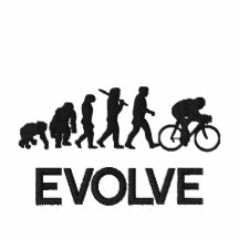 El ciclo desarrolla la evolución del ciclo