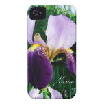 El cierre de color morado oscuro del iris para arr iPhone 4 fundas