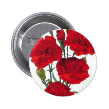 EL CLAVEL ANDALUZ PINS