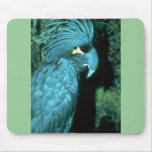 El cockatoo de la palma tiene cabeza-vestido impon tapete de ratones