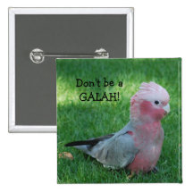 El Cockatoo rosado no es un botón de Galah Pins