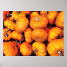 El COMENZAR DEBAJO de $20 - calabazas del bebé Posters