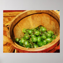 El COMENZAR DEBAJO de $20 - cesta de uvas verdes Impresiones