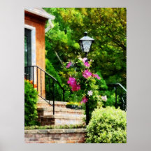 El COMENZAR DEBAJO de $20 - Clematis en el poste d Posters