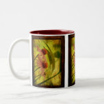 El cono antiguo florece enmarcado - taza