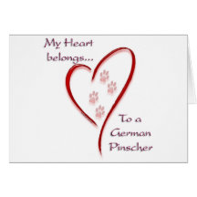 El corazón alemán del Pinscher pertenece Tarjetas