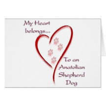 El corazón de Anatolia del perro de pastor pertene Felicitacion