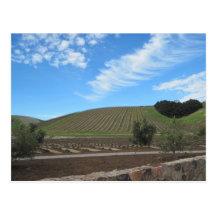 El corazón del país vinícola de Paso Robles Postales