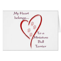 El corazón miniatura de bull terrier pertenece felicitaciones