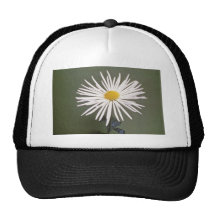 El crisantemo amarillo orienta (florista Chrysanth Gorra