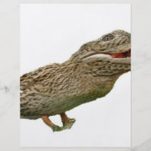 El Crocoduck Flyer Personalizado