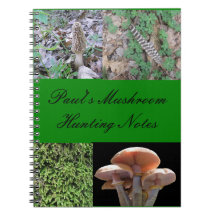 El cuaderno del cazador de la seta