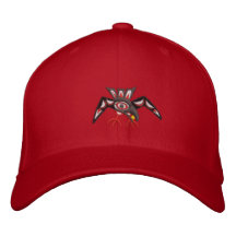 El cuervo del Haida roba el sol Gorra Bordada