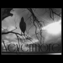 El cuervo - nunca más árbol B&W de los rayos de so folletos