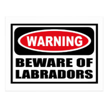 El cuidado SE GUARDA de la postal de LABRADORS