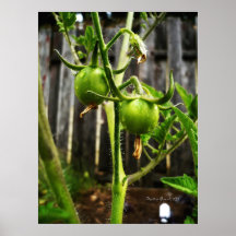 El cultivar un huerto impresiones
