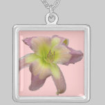 El Daylily 'hace collar de la torsión" collares