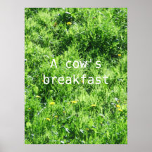 El desayuno de una vaca poster
