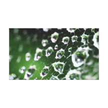 El descenso del agua impresiones en lona