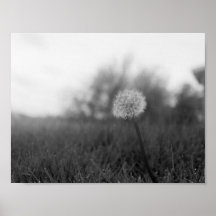 El desear sobre un sueño poster