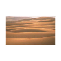 El desierto 31 estiró la impresión de la lona lona estirada galerías