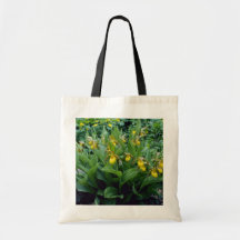 el deslizador de señora amarillo amarillo (Cypripe Bolsa De Mano