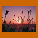 El despertar en el campo posters