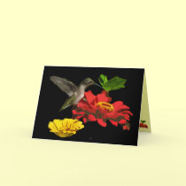 El día de madre del colibrí tarjetas