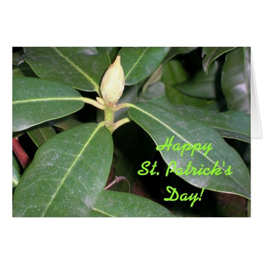 El día de San Patricio Felicitaciones