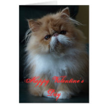 El día de San Valentín feliz del gato persa Tarjetón