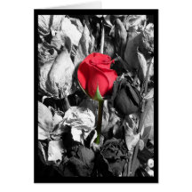 El día de San Valentín feliz Felicitación
