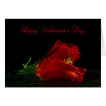 El día de San Valentín feliz Tarjeta