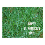 El día de St Patrick de la hierba Tarjetas Postales