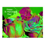 El día de St Patrick de los rosas Tarjeta Postal