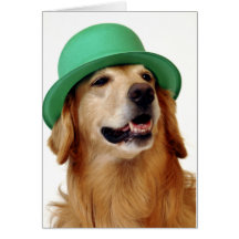 El día de St Patrick del golden retriever Felicitacion