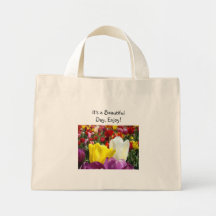 ¡El día hermoso goza! Flores del tulipán de las bo