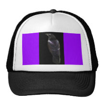 El diseño animal Bewitching del cuervo Gorra