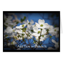 El Dogwood blanco florece la tarjeta